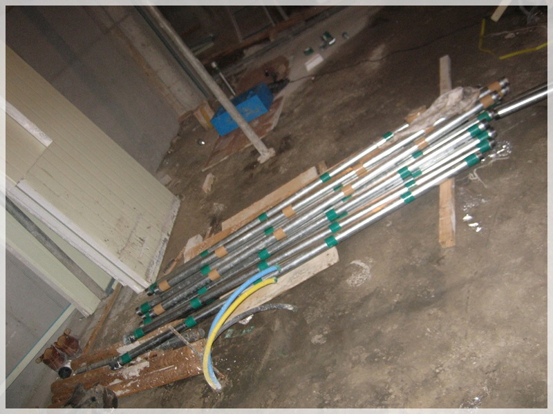 03006.jpg